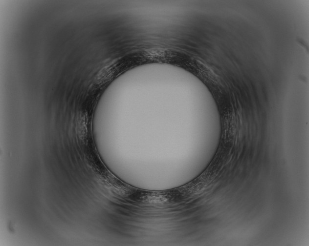 X0000097800702200803281035