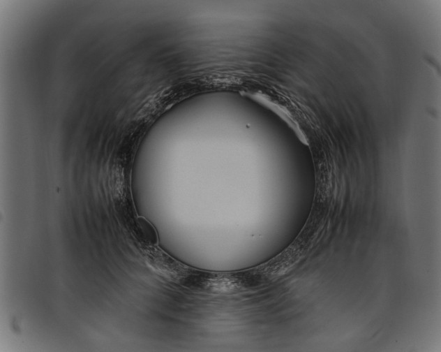 X0000097800704200803281035