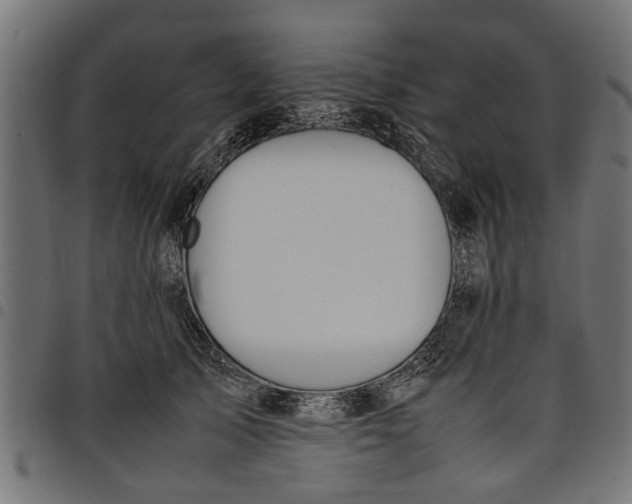 X0000097800705200803281035