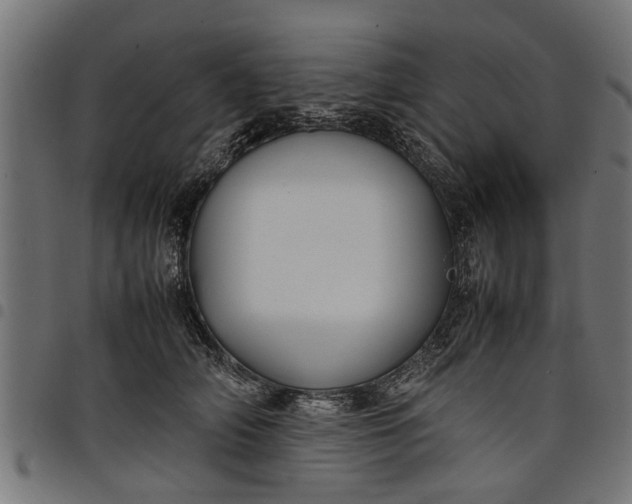 X0000097800706200803281035