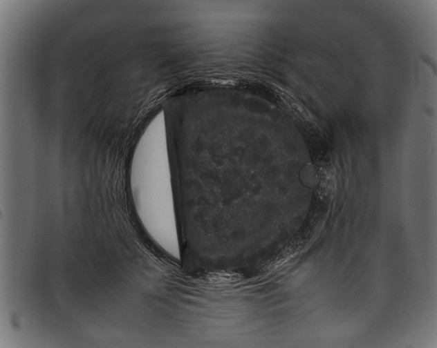 X0000097800707200803281035