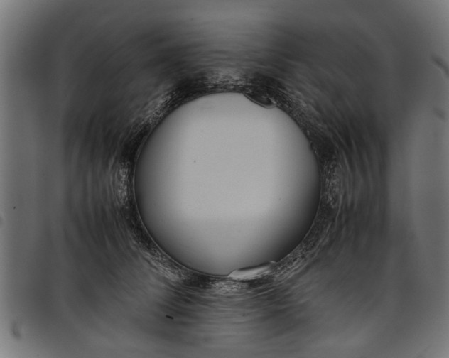 X0000097800708200803281035