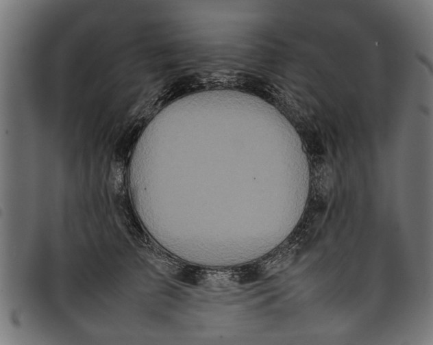 X0000097800709200803281035