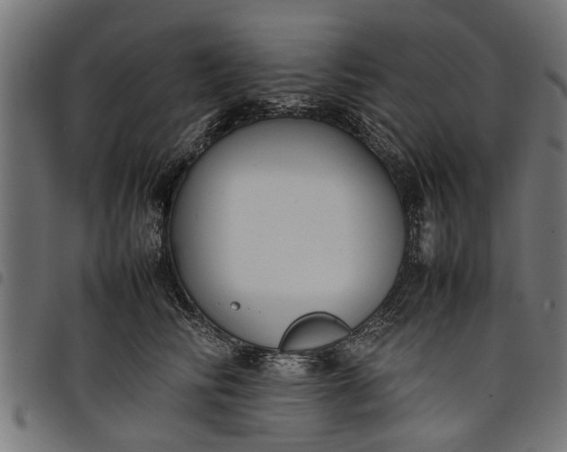 X0000097800710200803281035