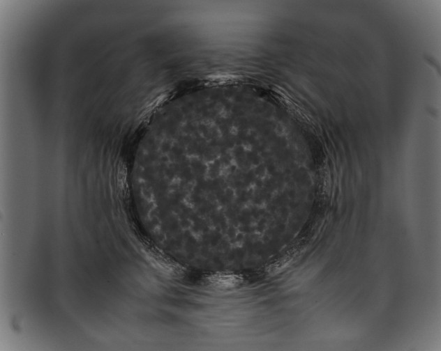 X0000097800711200803281035