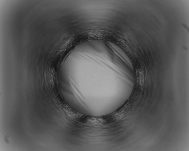 X0000097800712200803281035