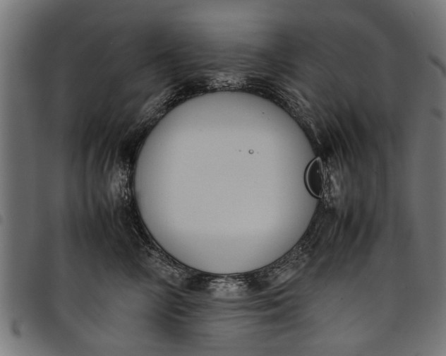 X0000097800714200803281035