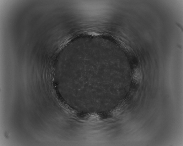 X0000097800715200803281035