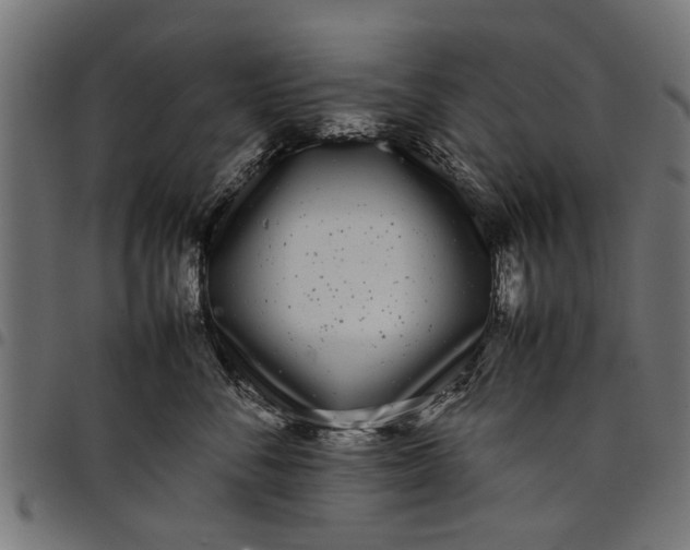 X0000097800716200803281035