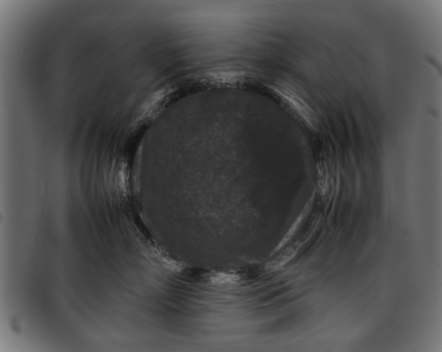 X0000097800718200803281035