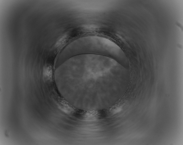 X0000097800720200803281035