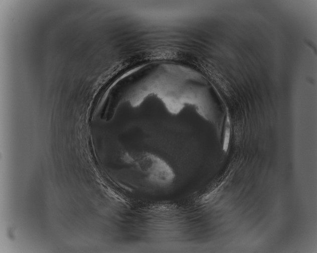 X0000097800721200803281034