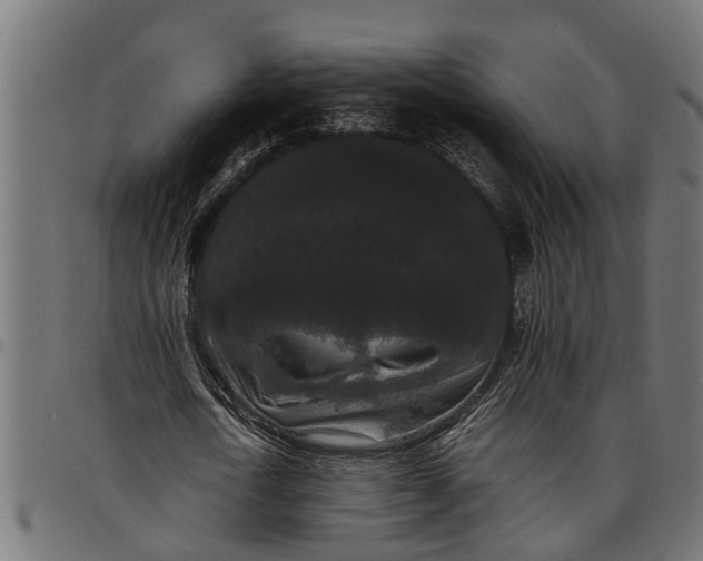 X0000097800722200803281034