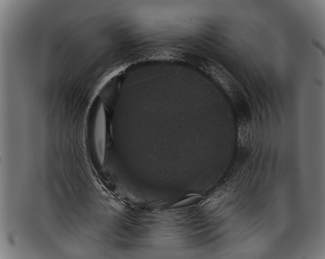 X0000097800724200803281034