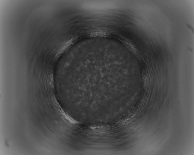 X0000097800729200803281034