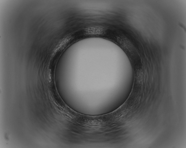 X0000097800731200803281034