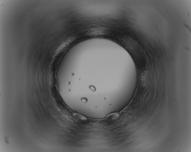 X0000097800732200803281034