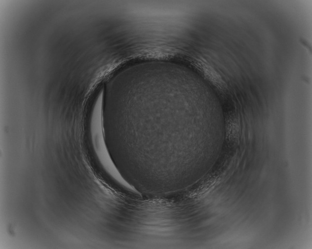 X0000097800736200803281034