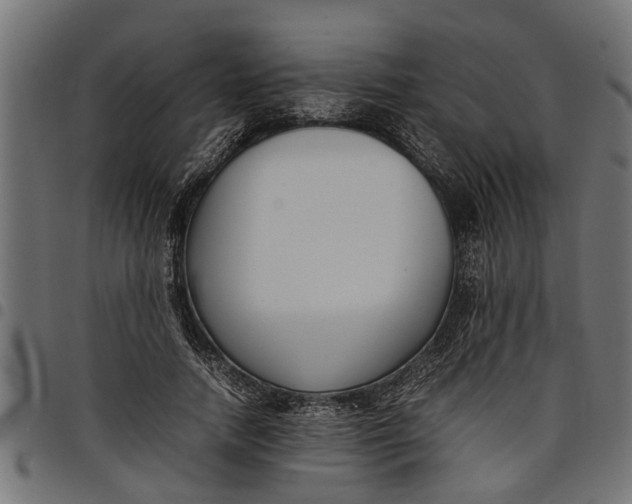 X0000097800738200803281034