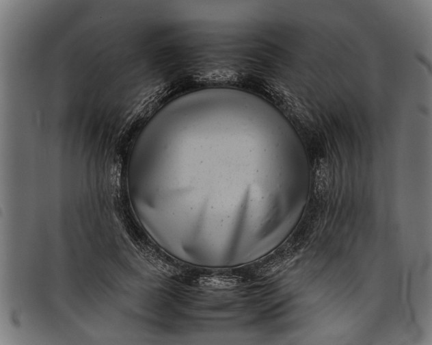 X0000097800739200803281034