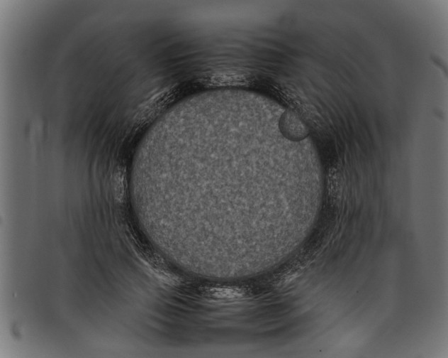 X0000097800741200803281034