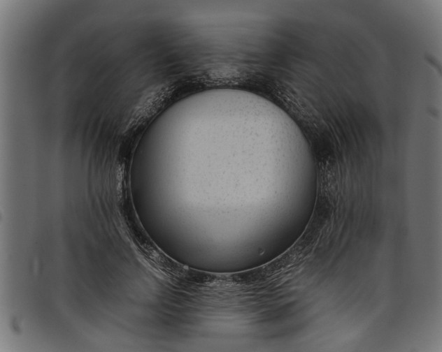 X0000097800742200803281034