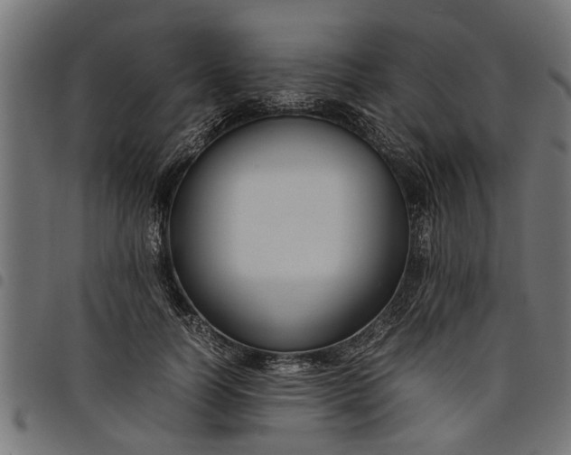 X0000097800746200803281034