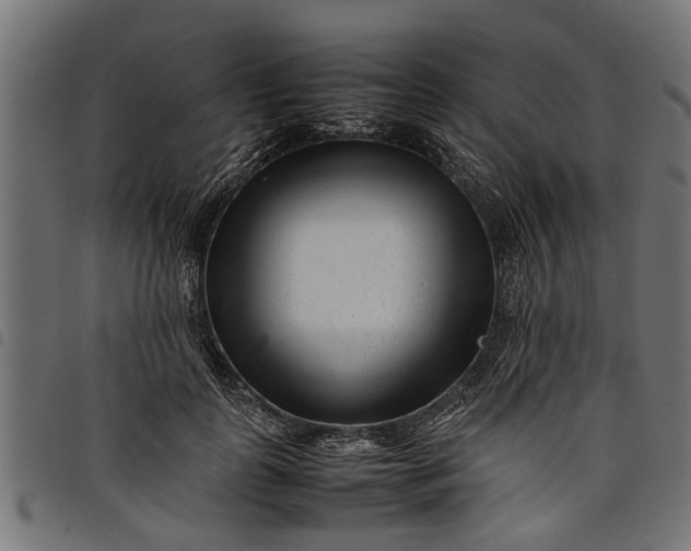 X0000097800747200803281034