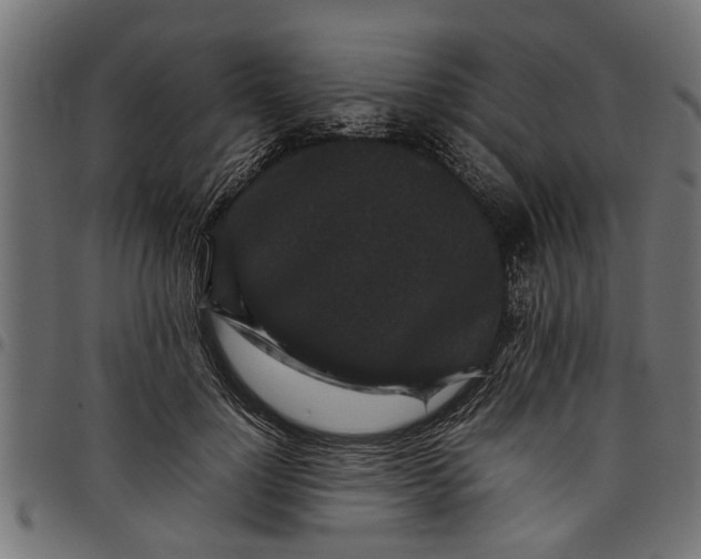 X0000097800748200803281034