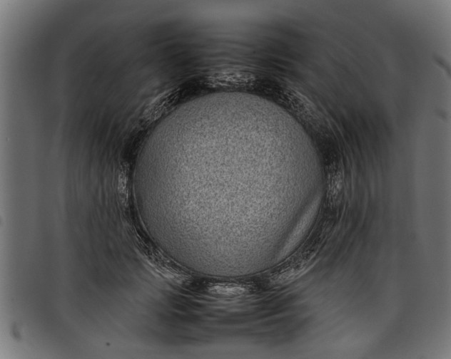 X0000097800749200803281034