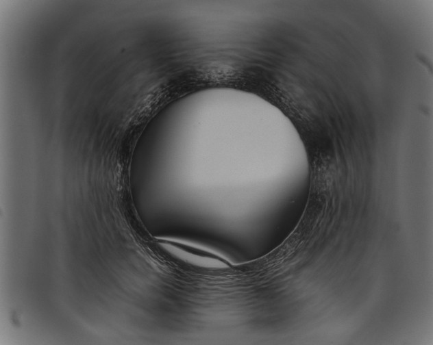 X0000097800750200803281035