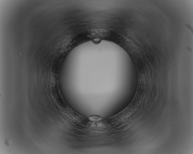 X0000097800751200803281035