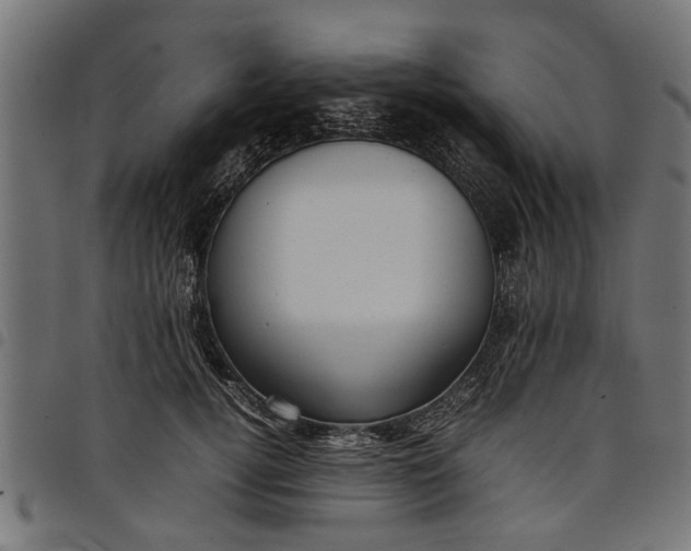 X0000097800752200803281035