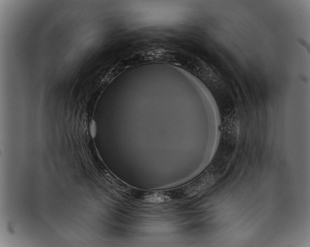 X0000097800754200803281035