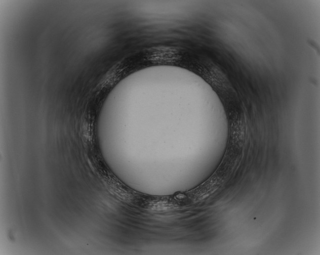 X0000097800755200803281035