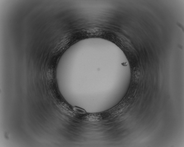 X0000097800756200803281035