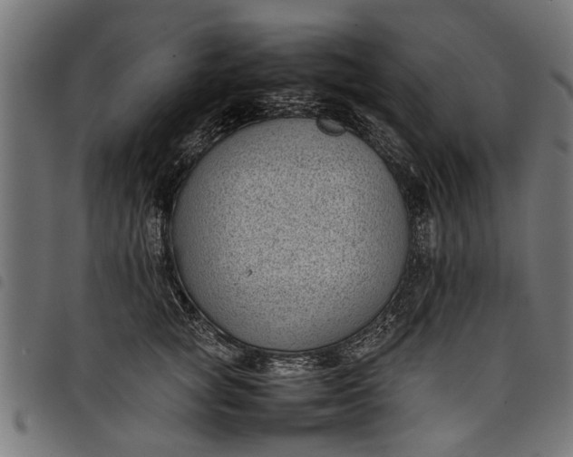 X0000097800757200803281035