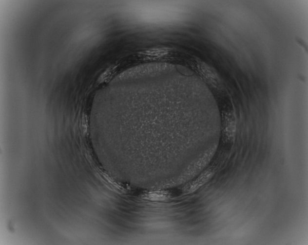 X0000097800758200803281035