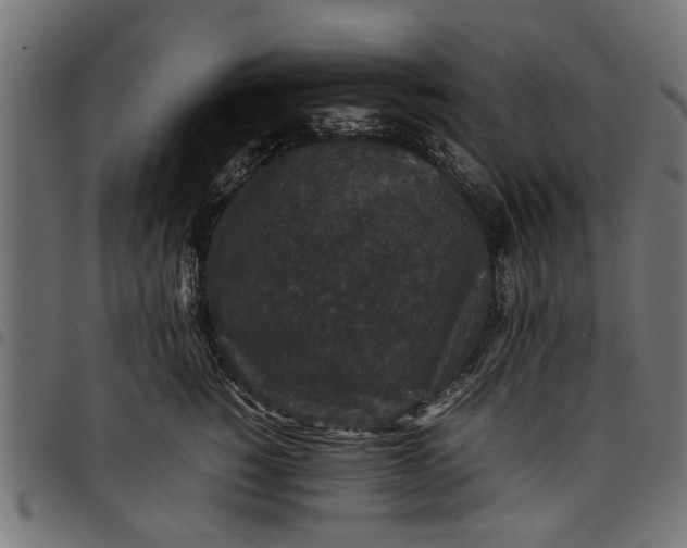 X0000097800760200803281035