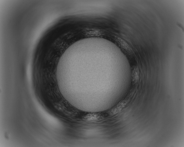 X0000097800764200803281035