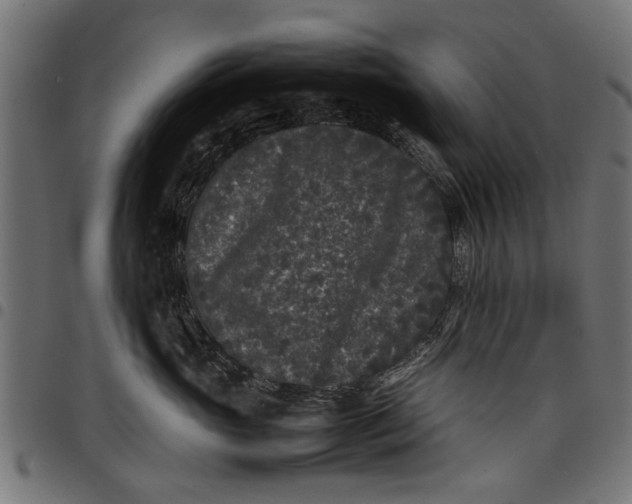 X0000097800765200803281035