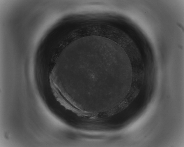 X0000097800766200803281035