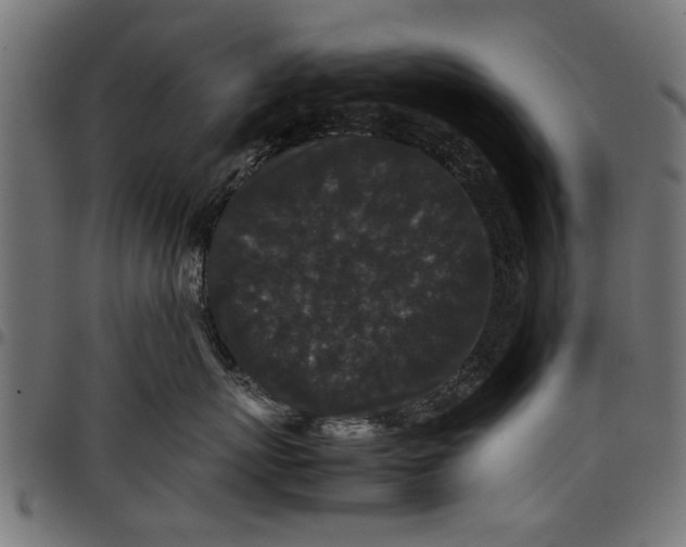 X0000097800767200803281035