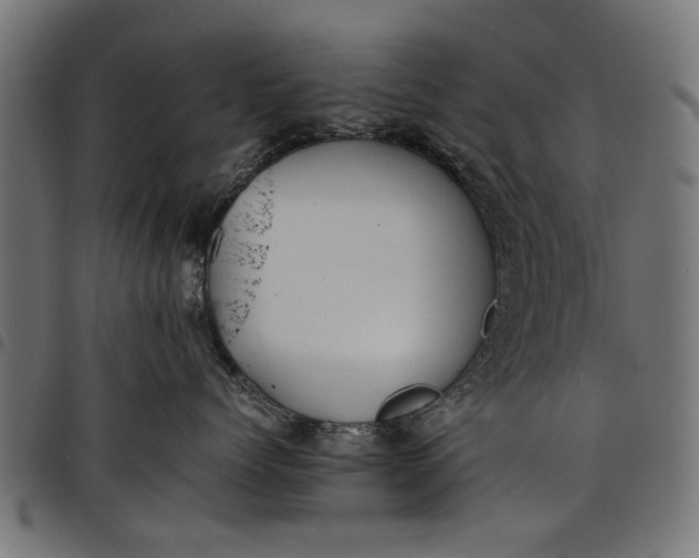 X0000097800768200803281035