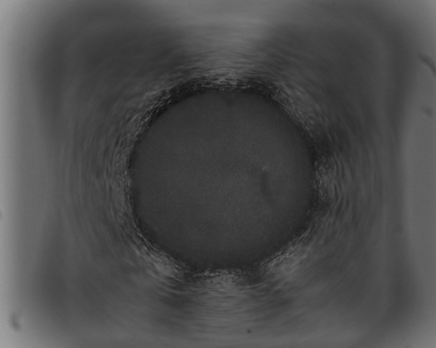 X0000097800769200803281034