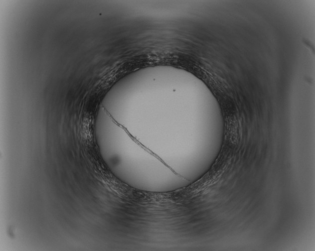 X0000097800770200803281034