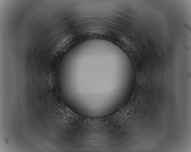 X0000097800774200803281034