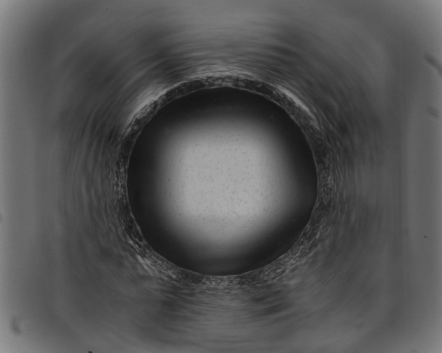 X0000097800775200803281034