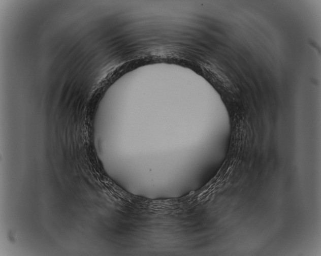 X0000097800776200803281034