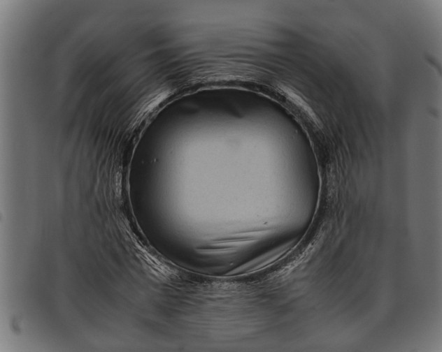 X0000097800777200803281034